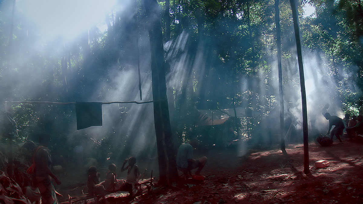 Song from The Forest